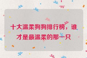 十大温柔狗狗排行榜，谁才是最温柔的那一只