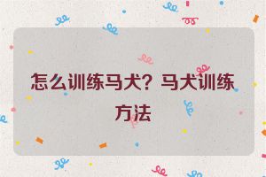 怎么训练马犬？马犬训练方法