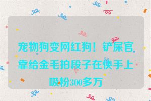宠物狗变网红狗！铲屎官靠给金毛拍段子在快手上吸粉300多万