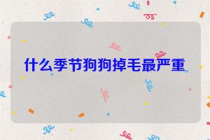 什么季节狗狗掉毛最严重