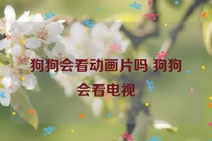 狗狗会看动画片吗 狗狗会看电视