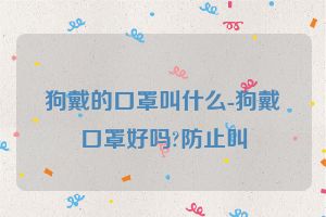 狗戴的口罩叫什么-狗戴口罩好吗?防止叫