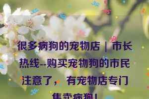 很多病狗的宠物店 | 市长热线--购买宠物狗的市民注意了， 有宠物店专门售卖病狗！