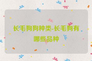 长毛狗狗种类-长毛狗有哪些品种