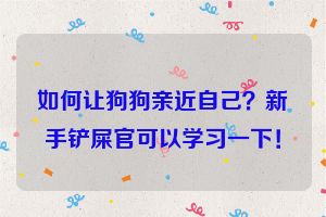 如何让狗狗亲近自己?新手铲屎官可以学习一下!