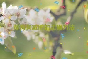 帮狗狗减肥的正确方法