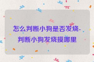 怎么判断小狗是否发烧-判断小狗发烧摸哪里