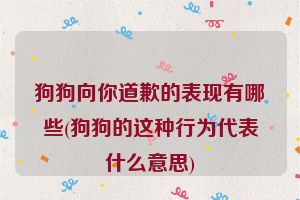 狗狗向你道歉的表现有哪些(狗狗的这种行为代表什么意思)