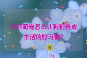 今日萌宠怎么让狗狗养成生活的好习惯？