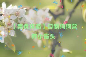 【美食攻略】自制狗狗营养小馒头