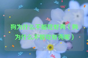 狗为什么不能吃虾壳（狗为什么不能吃虾壳呢）