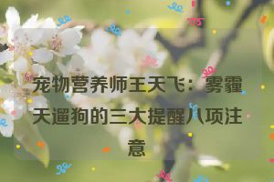 宠物营养师王天飞：雾霾天遛狗的三大提醒八项注意