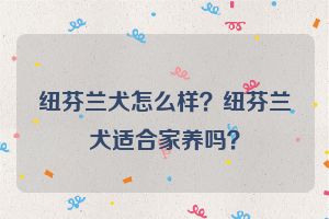 纽芬兰犬怎么样？纽芬兰犬适合家养吗？