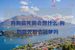 狗狗临死前会想什么-狗狗临死前会托梦吗