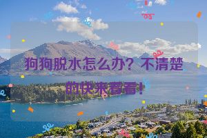 狗狗脱水怎么办?不清楚的快来看看!