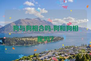 狗与狗相合吗-狗和狗相配吗？