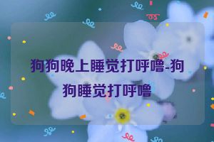 狗狗晚上睡觉打呼噜-狗狗睡觉打呼噜