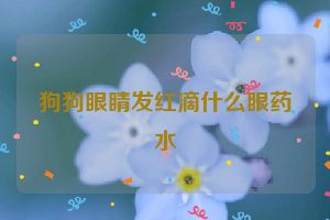 狗狗眼睛发红滴什么眼药水