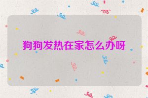 狗狗发热在家怎么办呀