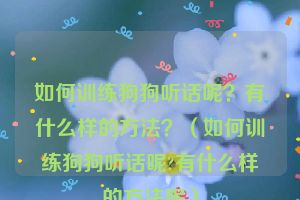 如何训练狗狗听话呢？有什么样的方法？（如何训练狗狗听话呢?有什么样的方法呢）