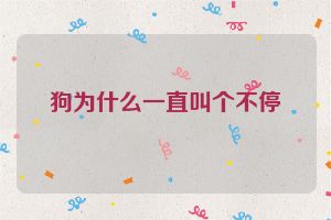 狗为什么一直叫个不停
