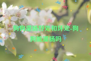 狗狗灌肠好处和坏处-狗狗能灌肠吗