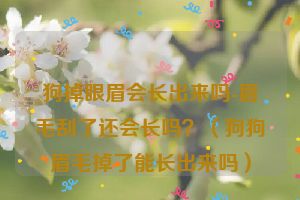 狗掉眼眉会长出来吗-眉毛刮了还会长吗？（狗狗眉毛掉了能长出来吗）