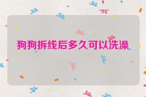 狗狗拆线后多久可以洗澡