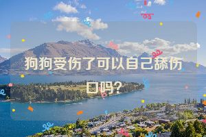 狗狗受伤了可以自己舔伤口吗？