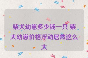 柴犬幼崽多少钱一只 柴犬幼崽价格浮动居然这么大