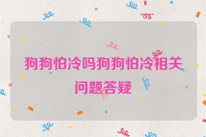 狗狗怕冷吗狗狗怕冷相关问题答疑