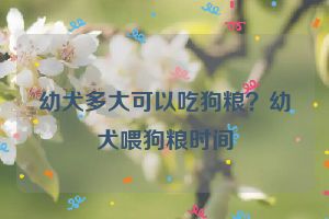 幼犬多大可以吃狗粮？幼犬喂狗粮时间