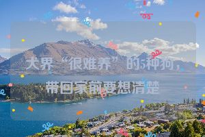 犬界“很难养”的5种狗，带回家前要想清楚