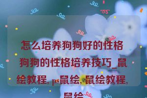 怎么培养狗狗好的性格 狗狗的性格培养技巧_鼠绘教程, ps鼠绘, 鼠绘教程, 鼠绘