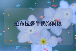 拉布拉多牛奶泡狗粮