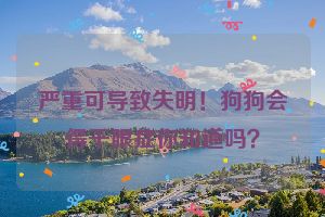 严重可导致失明！狗狗会得干眼症你知道吗？