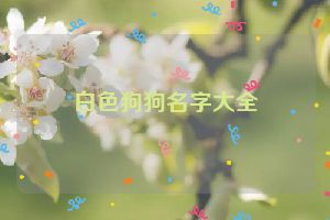 白色狗狗名字大全