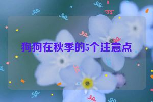 狗狗在秋季的5个注意点