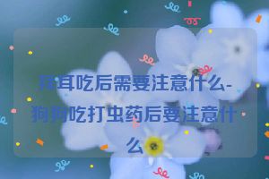 拜耳吃后需要注意什么-狗狗吃打虫药后要注意什么