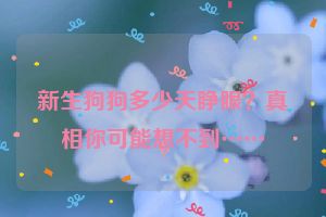 新生狗狗多少天睁眼？真相你可能想不到……