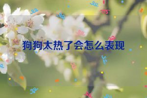 狗狗太热了会怎么表现