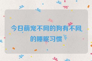 今日萌宠不同的狗有不同的睡眠习惯
