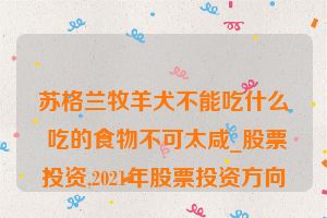 苏格兰牧羊犬不能吃什么 吃的食物不可太咸_股票投资,2021年股票投资方向