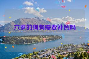 六岁的狗狗需要补钙吗