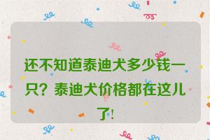 还不知道泰迪犬多少钱一只？泰迪犬价格都在这儿了!