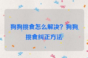 狗狗挑食怎么解决？狗狗挑食纠正方法