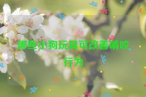 哪些小狗玩具可改善啃咬行为