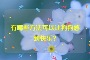 有哪些方法可以让狗狗感到快乐？