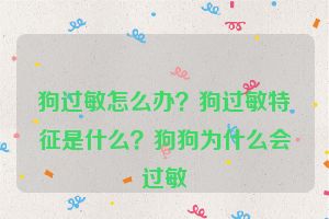 狗过敏怎么办？狗过敏特征是什么？狗狗为什么会过敏