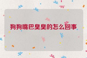 狗狗嘴巴臭臭的怎么回事